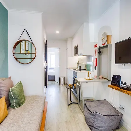 Akicity Ajuda Songbird *