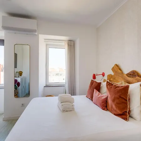 Akicity Ajuda Songbird *